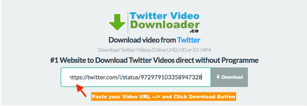 Download Twitter Videos Step 2